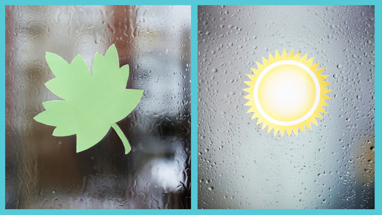 finestre decorate per prevenire incidenti