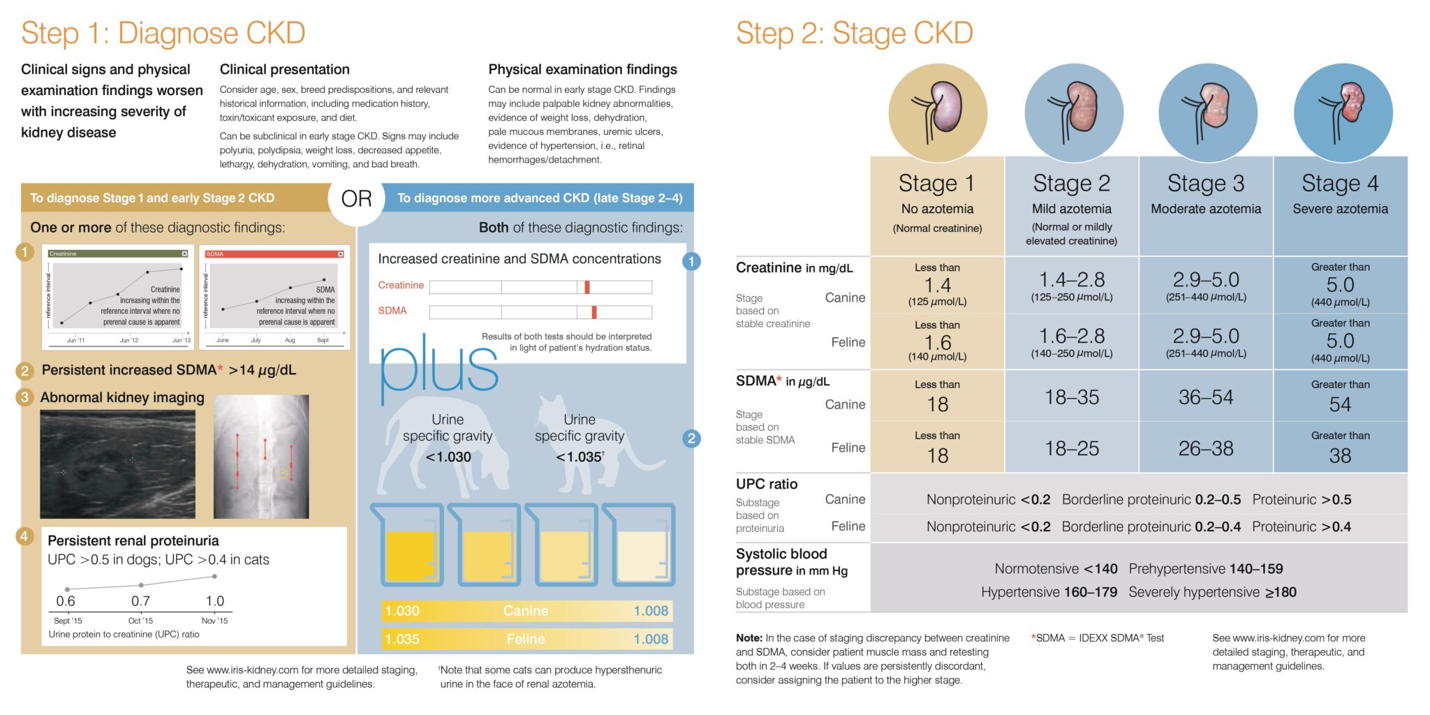 Insufficienza renale cronica nel cane e gatto linee guida iris stadiazione (1)