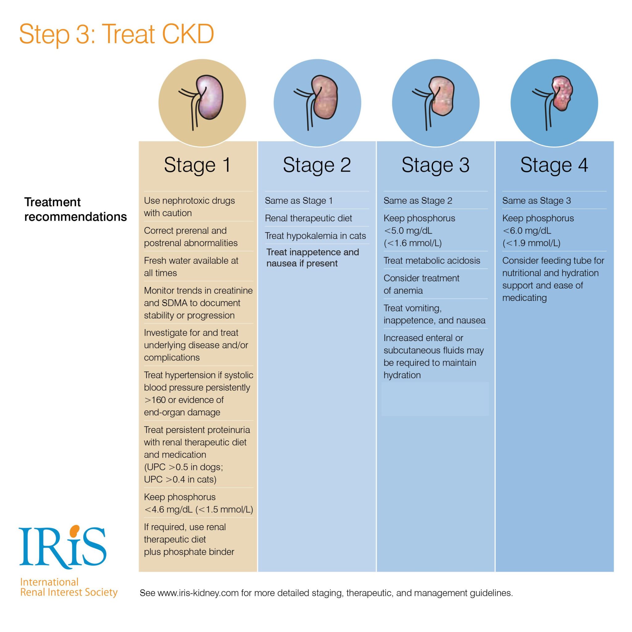 Insufficienza renale cronica nel cane e gatto linee guida iris stadiazione (2)
