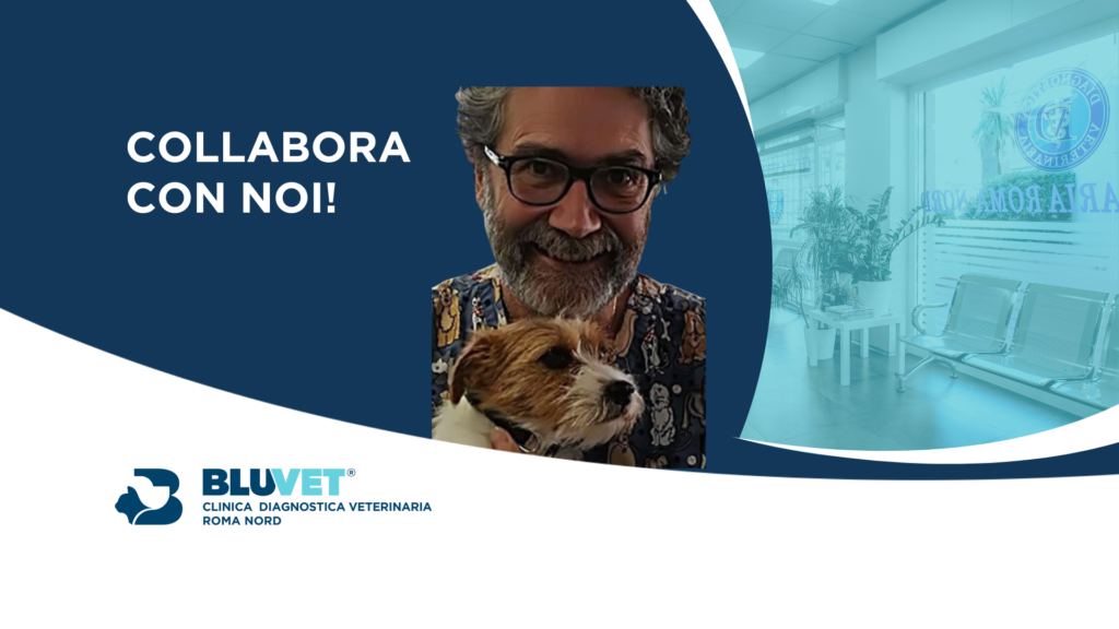 NUOVA JOB diagnostica veterinaria