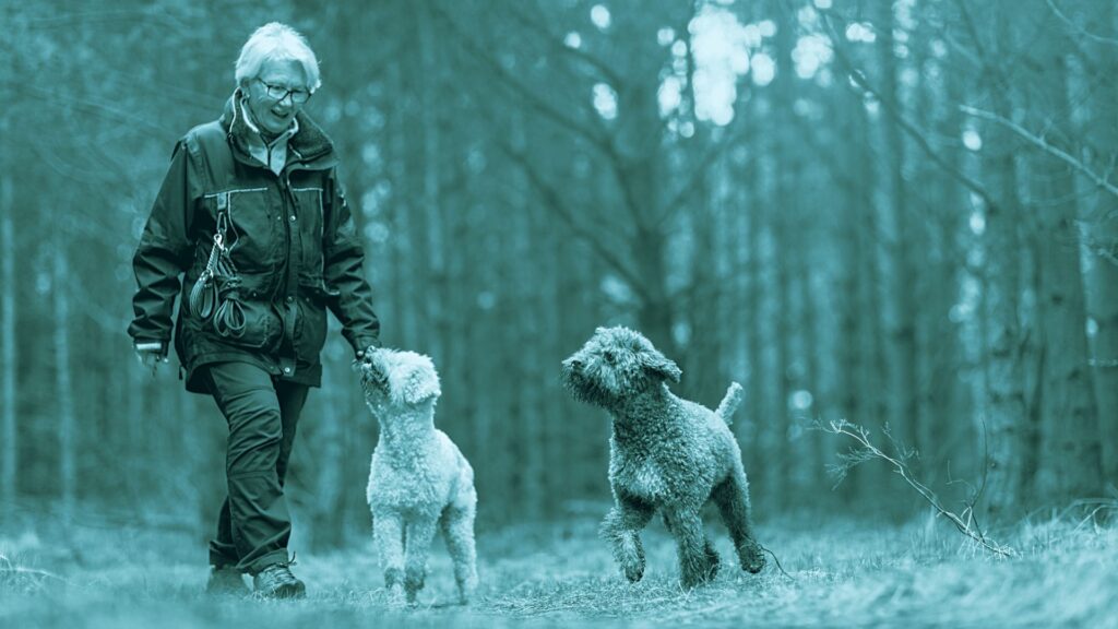 starnuto nel cane