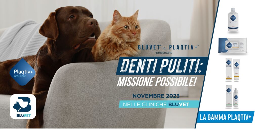 Denti puliti missione possibile con BluVet larga