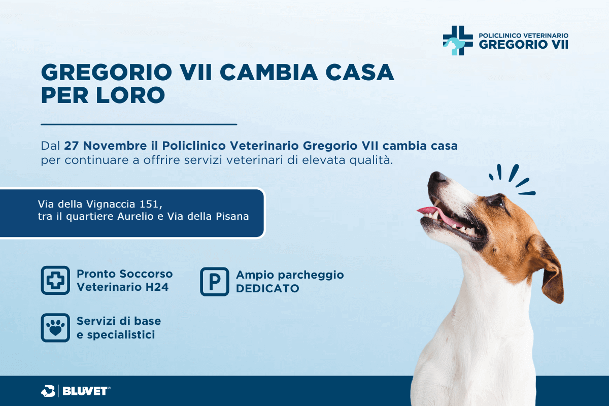 Policlinico Veterinario Gregorio VII