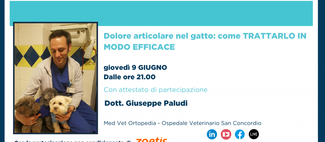 GIUSEPPE PALUDI DOLORE ARTICOLARE