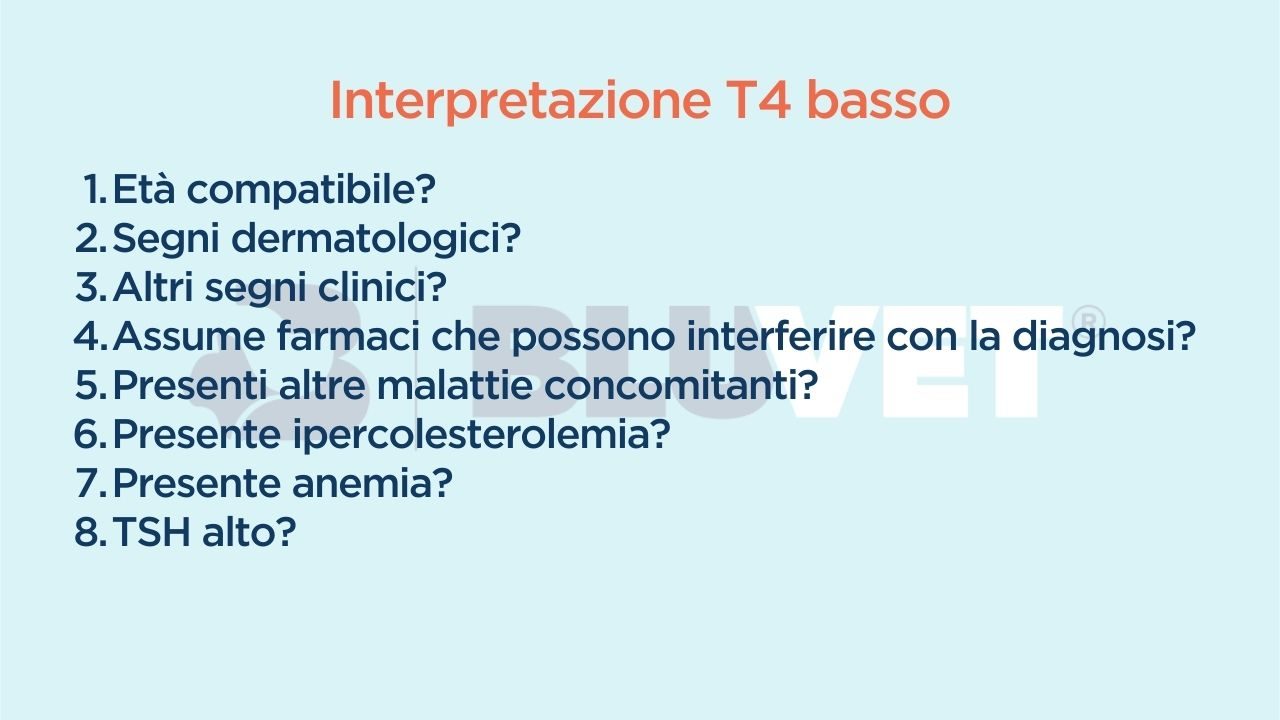 inerpretazione t4 basso