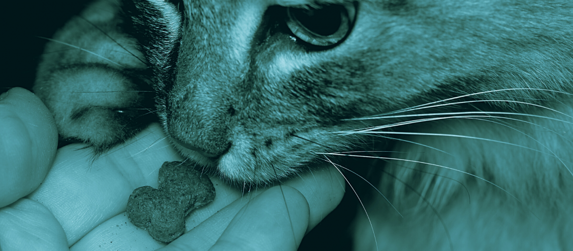 quanto cibo dare al gatto